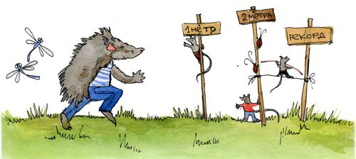 Сказки Дружного леса. Новые приключения маленького Ёжика Сказки Дружного леса. Новые приключения маленького Ёжика