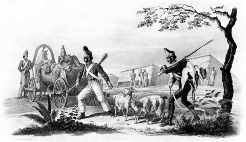 1812. Все было не так! 1812. Все было не так!
