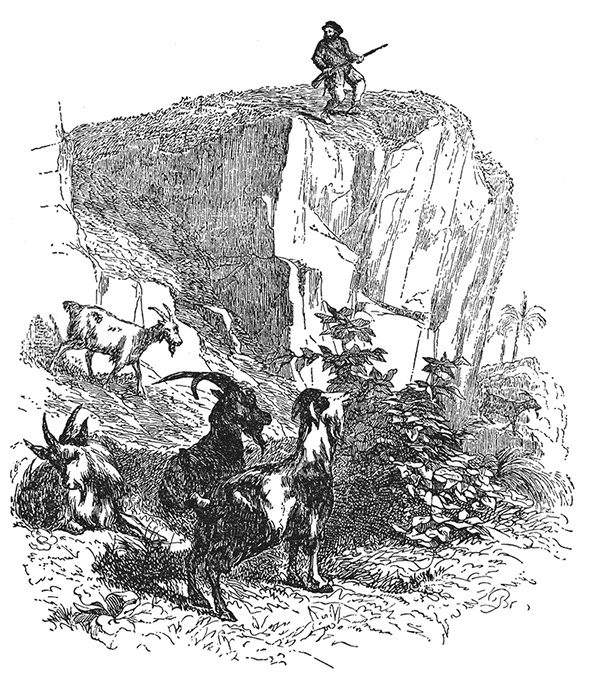 Робинзон Крузо. Дальнейшие приключения Робинзона Крузо Робинзон Крузо. Дальнейшие приключения Робинзона Крузо