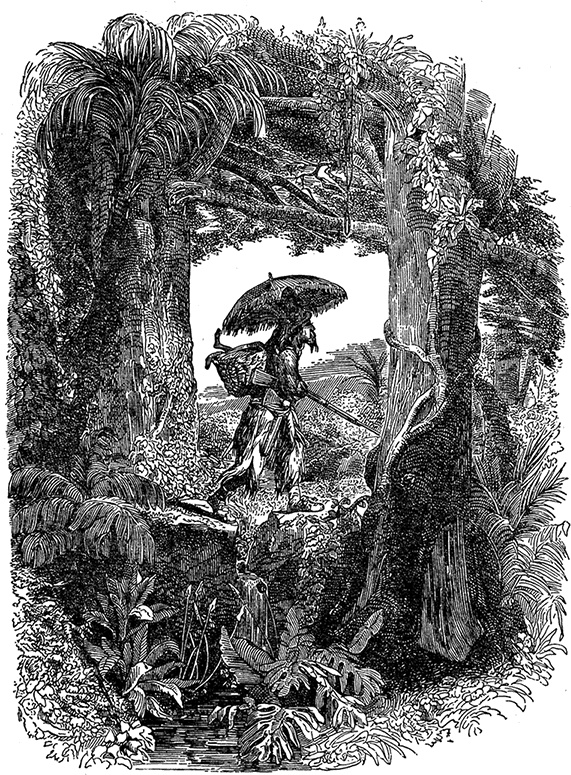 Робинзон Крузо. Дальнейшие приключения Робинзона Крузо Робинзон Крузо. Дальнейшие приключения Робинзона Крузо