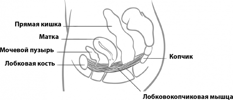 Прайм-тайм. После 50 жизнь только начинается Прайм-тайм. После 50 жизнь только начинается