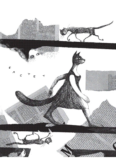 Рыцарь, кот и балерина. Приключения эрмитажных котов Рыцарь, кот и балерина. Приключения эрмитажных котов