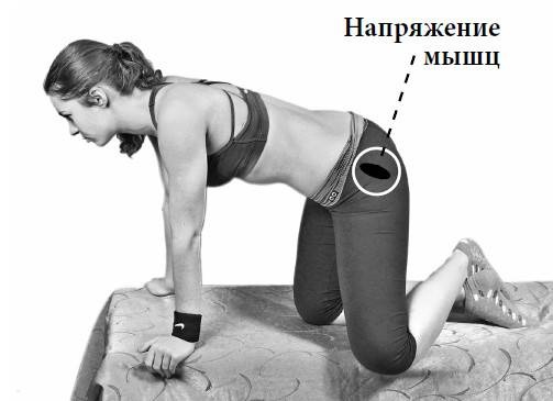 Ария для спины. Авторская программа, чтобы никогда не болели суставы Ария для спины. Авторская программа, чтобы никогда не болели суставы