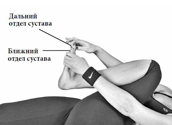 Ария для спины. Авторская программа, чтобы никогда не болели суставы Ария для спины. Авторская программа, чтобы никогда не болели суставы