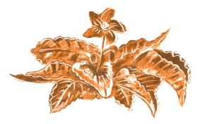 Библия в СМСках Библия в СМСках