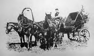 Жизнь русского обывателя. На шумных улицах градских Жизнь русского обывателя. На шумных улицах градских