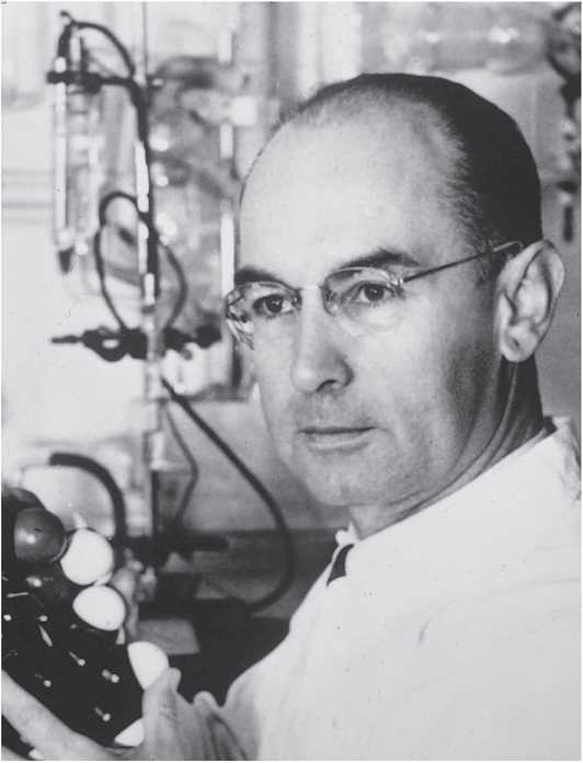 Исцеление наших самых глубоких ран. Холотропный сдвиг парадигмы Исцеление наших самых глубоких ран. Холотропный сдвиг парадигмы