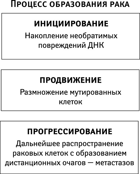 Бойкот раку. Защитите себя и своих близких! Советы врача-онколога из Великобритании Бойкот раку. Защитите себя и своих близких! Советы врача-онколога из Великобритании