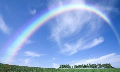 Сказочная энциклопедия для маленьких вундеркиндов. Чудеса в природе Сказочная энциклопедия для маленьких вундеркиндов. Чудеса в природе