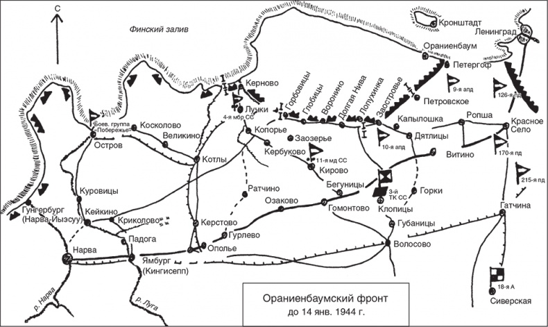Трагедия верности. Воспоминания немецкого танкиста. 1943-1945 Трагедия верности. Воспоминания немецкого танкиста. 1943-1945
