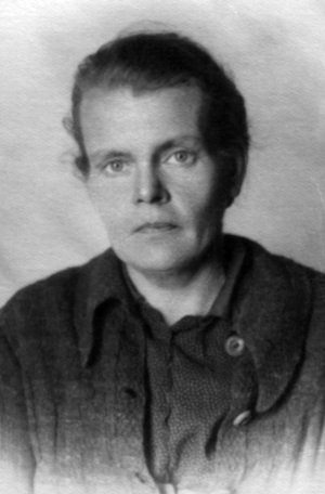 Неизвестный Лангемак. Конструктор "катюш" Неизвестный Лангемак. Конструктор "катюш"
