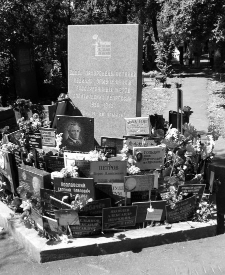 Неизвестный Лангемак. Конструктор "катюш" Неизвестный Лангемак. Конструктор "катюш"