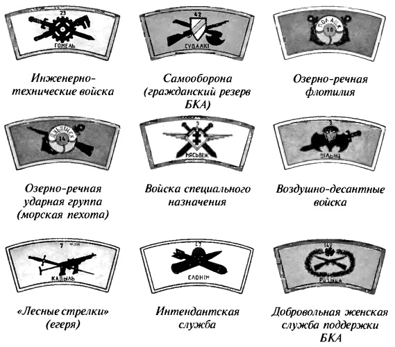 Коричневые тени в Полесье. Белоруссия 1941-1945 Коричневые тени в Полесье. Белоруссия 1941-1945