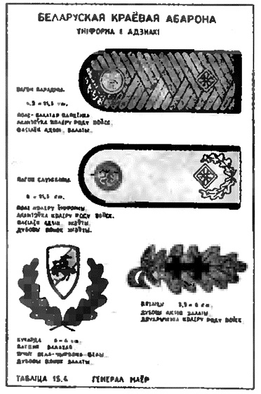 Коричневые тени в Полесье. Белоруссия 1941-1945 Коричневые тени в Полесье. Белоруссия 1941-1945