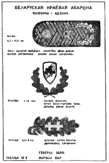 Коричневые тени в Полесье. Белоруссия 1941-1945 Коричневые тени в Полесье. Белоруссия 1941-1945
