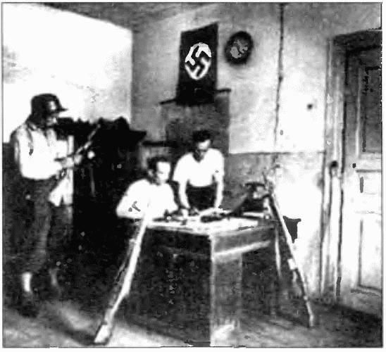 Коричневые тени в Полесье. Белоруссия 1941-1945 Коричневые тени в Полесье. Белоруссия 1941-1945