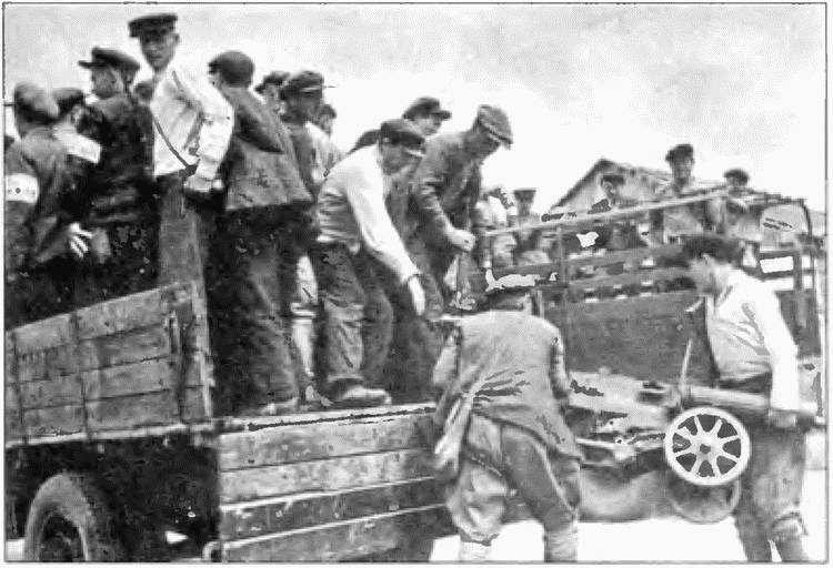 Коричневые тени в Полесье. Белоруссия 1941-1945 Коричневые тени в Полесье. Белоруссия 1941-1945