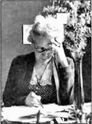 Коричневые тени в Полесье. Белоруссия 1941-1945 Коричневые тени в Полесье. Белоруссия 1941-1945