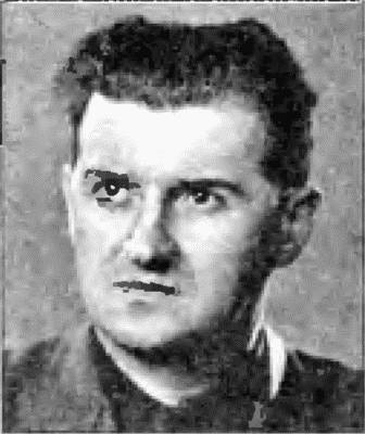 Коричневые тени в Полесье. Белоруссия 1941-1945 Коричневые тени в Полесье. Белоруссия 1941-1945