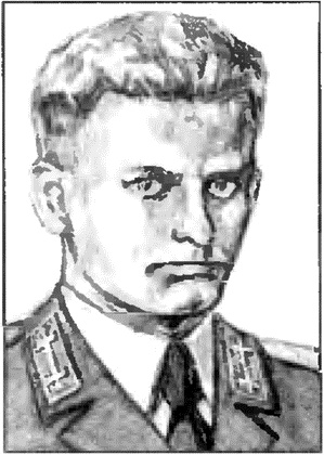 Коричневые тени в Полесье. Белоруссия 1941-1945 Коричневые тени в Полесье. Белоруссия 1941-1945
