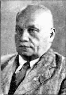Коричневые тени в Полесье. Белоруссия 1941-1945 Коричневые тени в Полесье. Белоруссия 1941-1945