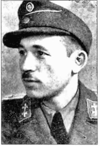 Коричневые тени в Полесье. Белоруссия 1941-1945 Коричневые тени в Полесье. Белоруссия 1941-1945