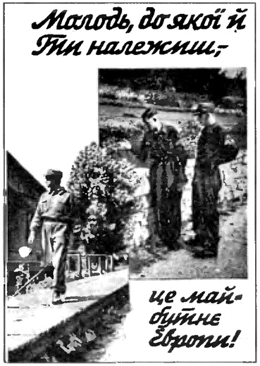 Коричневые тени в Полесье. Белоруссия 1941-1945 Коричневые тени в Полесье. Белоруссия 1941-1945