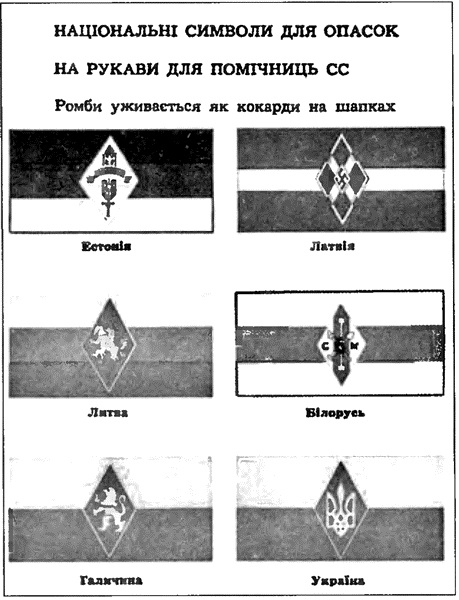 Коричневые тени в Полесье. Белоруссия 1941-1945 Коричневые тени в Полесье. Белоруссия 1941-1945