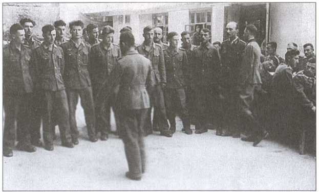Крым под пятой Гитлера. Немецкая оккупационная политика в Крыму 1941-1944 гг. Крым под пятой Гитлера. Немецкая оккупационная политика в Крыму 1941-1944 гг.