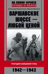 Варшавское шоссе - любой ценой. Трагедия Зайцевой горы. 1942-1943 - Александр Ильюшечкин - Читать книги онлайн | Слушать аудиокниги онлайн | Электронная библиотека books-lib.com