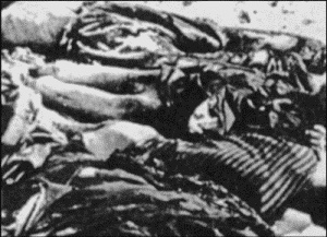 Нюрнбергский набат. Репортаж из прошлого, обращение к будущему Нюрнбергский набат. Репортаж из прошлого, обращение к будущему