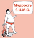 SUMO. Заткнись и делай SUMO. Заткнись и делай