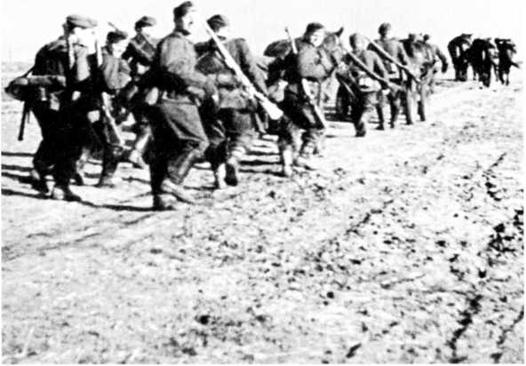 Ленинградский "Блицкриг". На основе военных дневников высших офицеров вермахта генерал-фельдмаршала Вильгельма Риттера фон Лееба и генерал-полковника Франца Гальдера. 1941-1942 Ленинградский "Блицкриг". На основе военных дневников высших офицеров вермахта генерал-фельдмаршала Вильгельма Риттера фон Лееба и генерал-полковника Франца Гальдера. 1941-1942