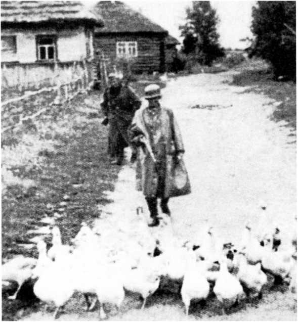 Ленинградский "Блицкриг". На основе военных дневников высших офицеров вермахта генерал-фельдмаршала Вильгельма Риттера фон Лееба и генерал-полковника Франца Гальдера. 1941-1942 Ленинградский "Блицкриг". На основе военных дневников высших офицеров вермахта генерал-фельдмаршала Вильгельма Риттера фон Лееба и генерал-полковника Франца Гальдера. 1941-1942