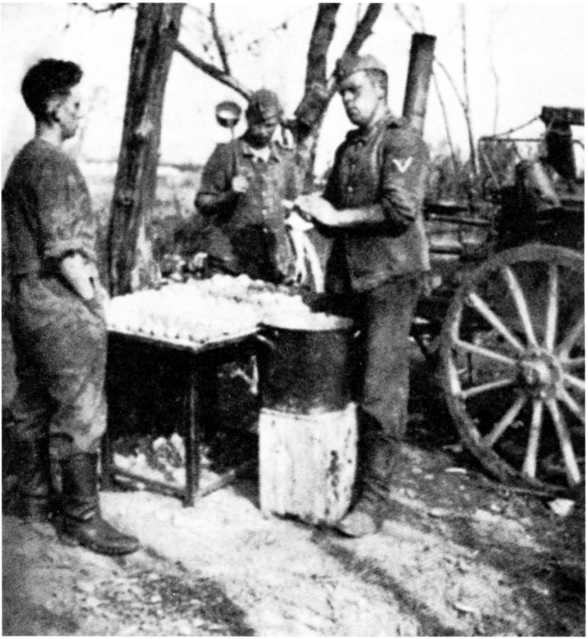 Ленинградский "Блицкриг". На основе военных дневников высших офицеров вермахта генерал-фельдмаршала Вильгельма Риттера фон Лееба и генерал-полковника Франца Гальдера. 1941-1942 Ленинградский "Блицкриг". На основе военных дневников высших офицеров вермахта генерал-фельдмаршала Вильгельма Риттера фон Лееба и генерал-полковника Франца Гальдера. 1941-1942