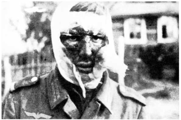 Ленинградский "Блицкриг". На основе военных дневников высших офицеров вермахта генерал-фельдмаршала Вильгельма Риттера фон Лееба и генерал-полковника Франца Гальдера. 1941-1942 Ленинградский "Блицкриг". На основе военных дневников высших офицеров вермахта генерал-фельдмаршала Вильгельма Риттера фон Лееба и генерал-полковника Франца Гальдера. 1941-1942