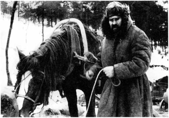 Ленинградский "Блицкриг". На основе военных дневников высших офицеров вермахта генерал-фельдмаршала Вильгельма Риттера фон Лееба и генерал-полковника Франца Гальдера. 1941-1942 Ленинградский "Блицкриг". На основе военных дневников высших офицеров вермахта генерал-фельдмаршала Вильгельма Риттера фон Лееба и генерал-полковника Франца Гальдера. 1941-1942