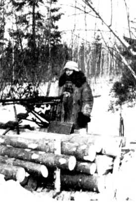 Ленинградский "Блицкриг". На основе военных дневников высших офицеров вермахта генерал-фельдмаршала Вильгельма Риттера фон Лееба и генерал-полковника Франца Гальдера. 1941-1942 Ленинградский "Блицкриг". На основе военных дневников высших офицеров вермахта генерал-фельдмаршала Вильгельма Риттера фон Лееба и генерал-полковника Франца Гальдера. 1941-1942