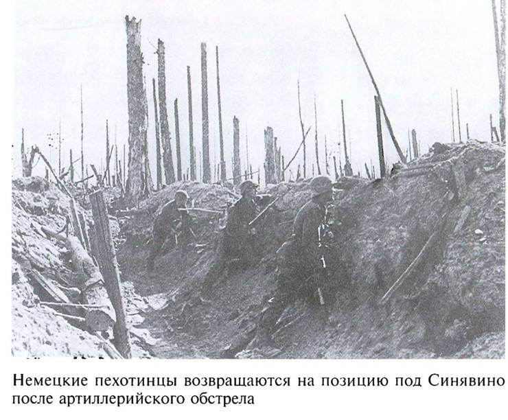 По обе стороны блокадного кольца По обе стороны блокадного кольца