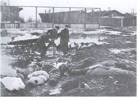 По обе стороны блокадного кольца По обе стороны блокадного кольца