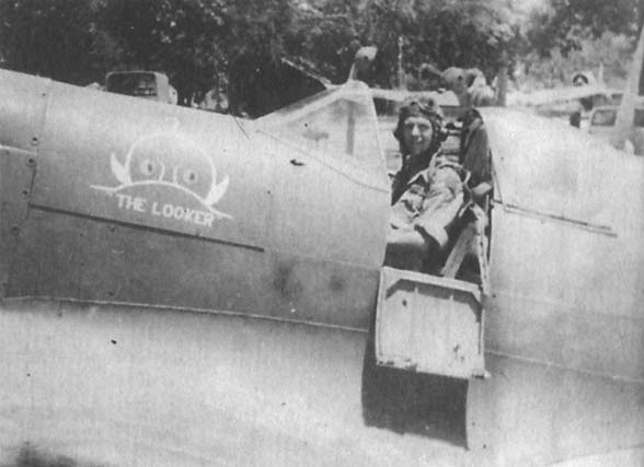Пикирующие бомбардировщики: История пикировщика. Пикировщики над джунглями Пикирующие бомбардировщики: История пикировщика. Пикировщики над джунглями