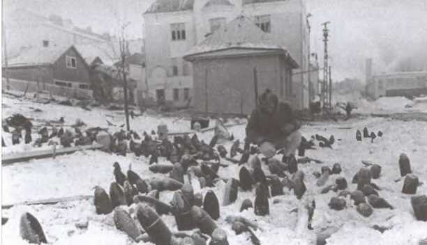 Зимняя война 1939-1940 гг. Зимняя война 1939-1940 гг.