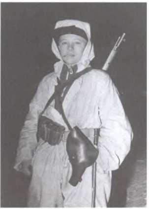 Зимняя война 1939-1940 гг. Зимняя война 1939-1940 гг.