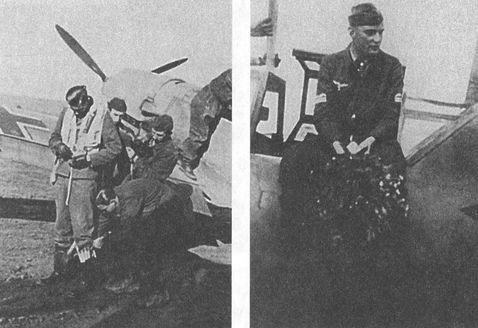 Черный крест и красная звезда. Воздушная война над Россией. 1941-1944 Черный крест и красная звезда. Воздушная война над Россией. 1941-1944
