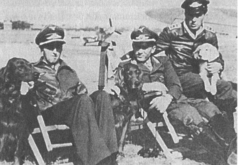 Черный крест и красная звезда. Воздушная война над Россией. 1941-1944 Черный крест и красная звезда. Воздушная война над Россией. 1941-1944