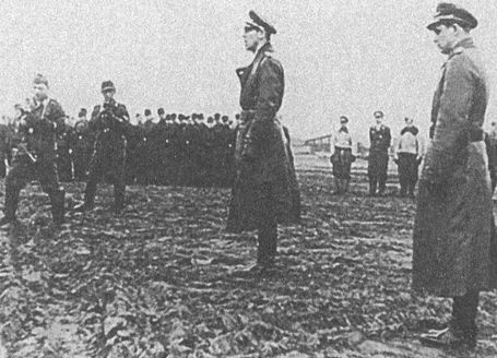 Черный крест и красная звезда. Воздушная война над Россией. 1941-1944 Черный крест и красная звезда. Воздушная война над Россией. 1941-1944