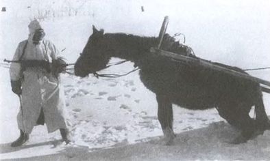 Котел смерти в Курляндии. Хроника сражений группы армий "Север" 1944-1945 Котел смерти в Курляндии. Хроника сражений группы армий "Север" 1944-1945