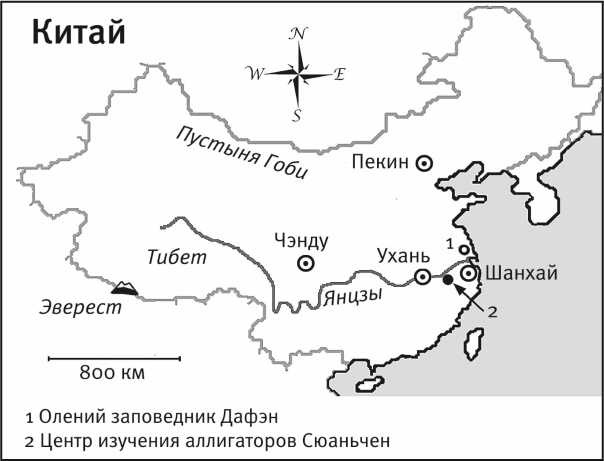 Песни драконов. Любовь и приключения в мире крокодилов и прочих динозавровых родственников Песни драконов. Любовь и приключения в мире крокодилов и прочих динозавровых родственников