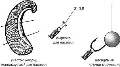 Рыбалка. На мормышку без насадки Рыбалка. На мормышку без насадки