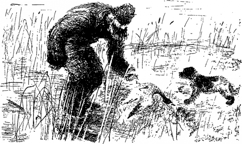 Город и лес у моря Город и лес у моря